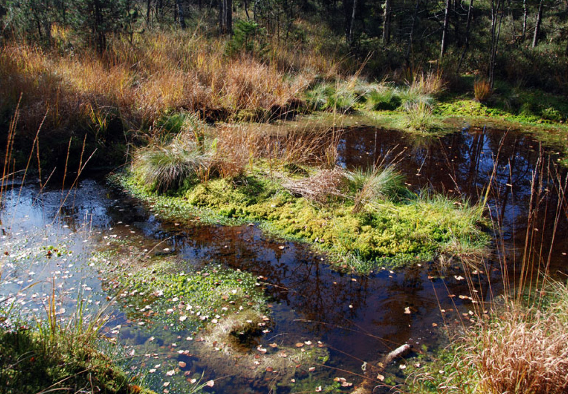 Von nationaler Bedeutung
