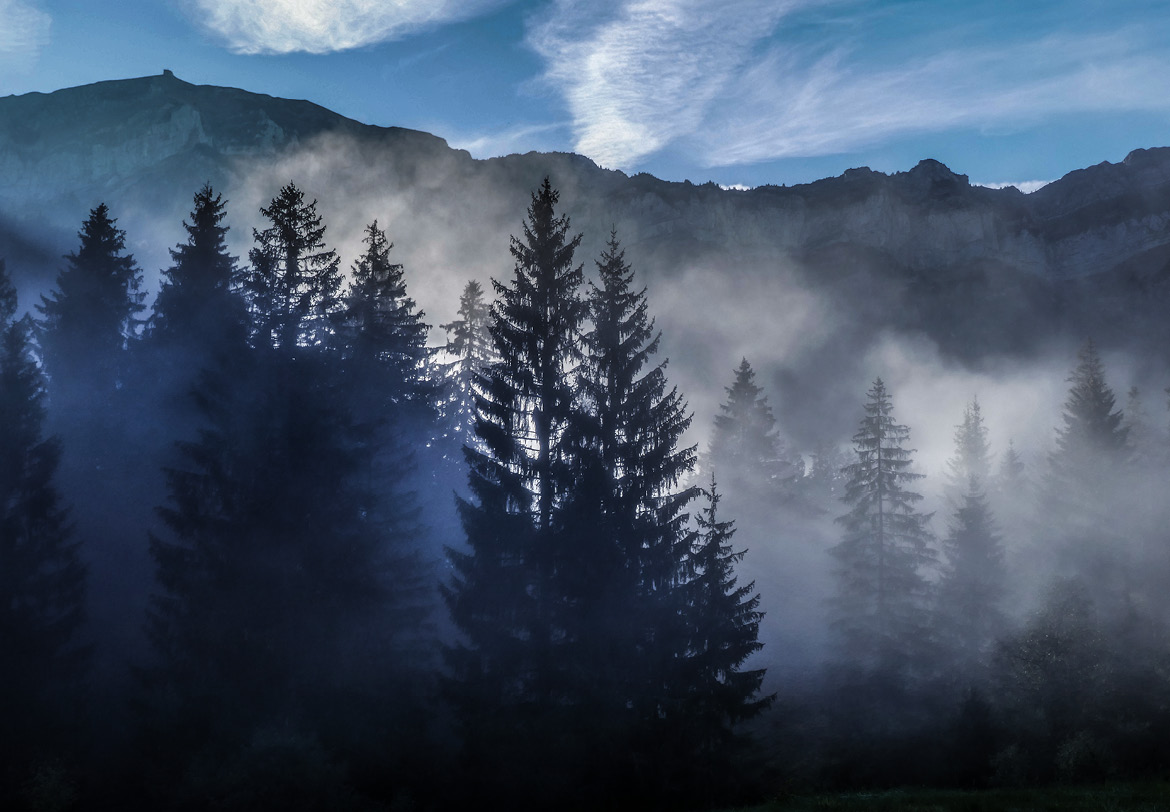 Kampf mit dem Bären