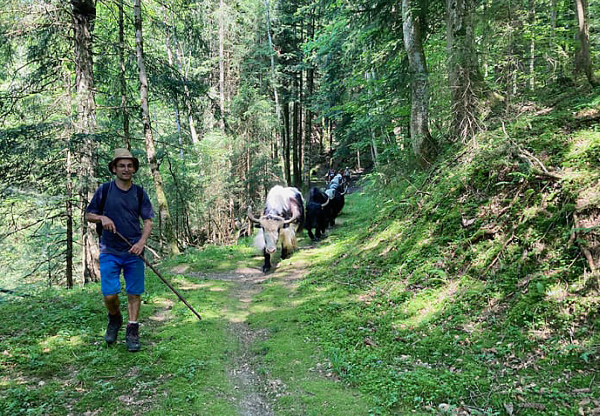 Bio Yakhof Weidboden