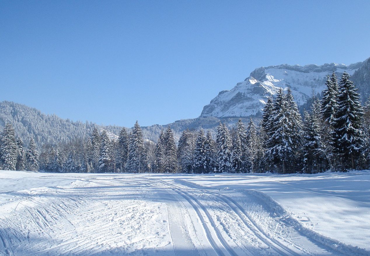 Tickets und Tageskarten