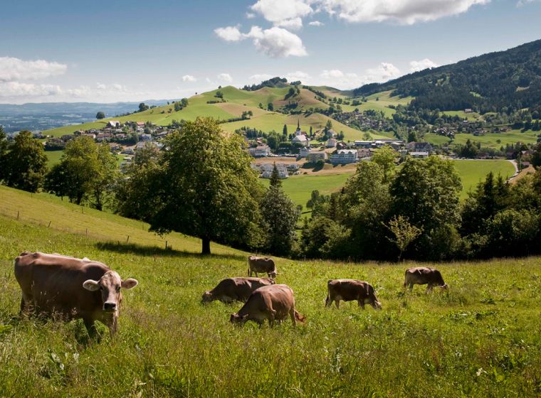 Ansichtskarte Arnen