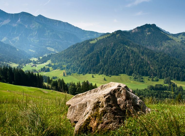 Ansichtskarte Würzenegg