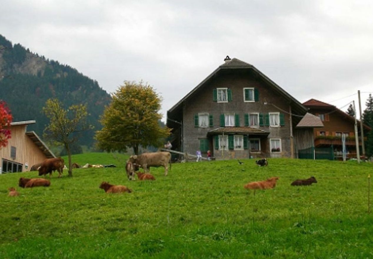 Brudersrüti