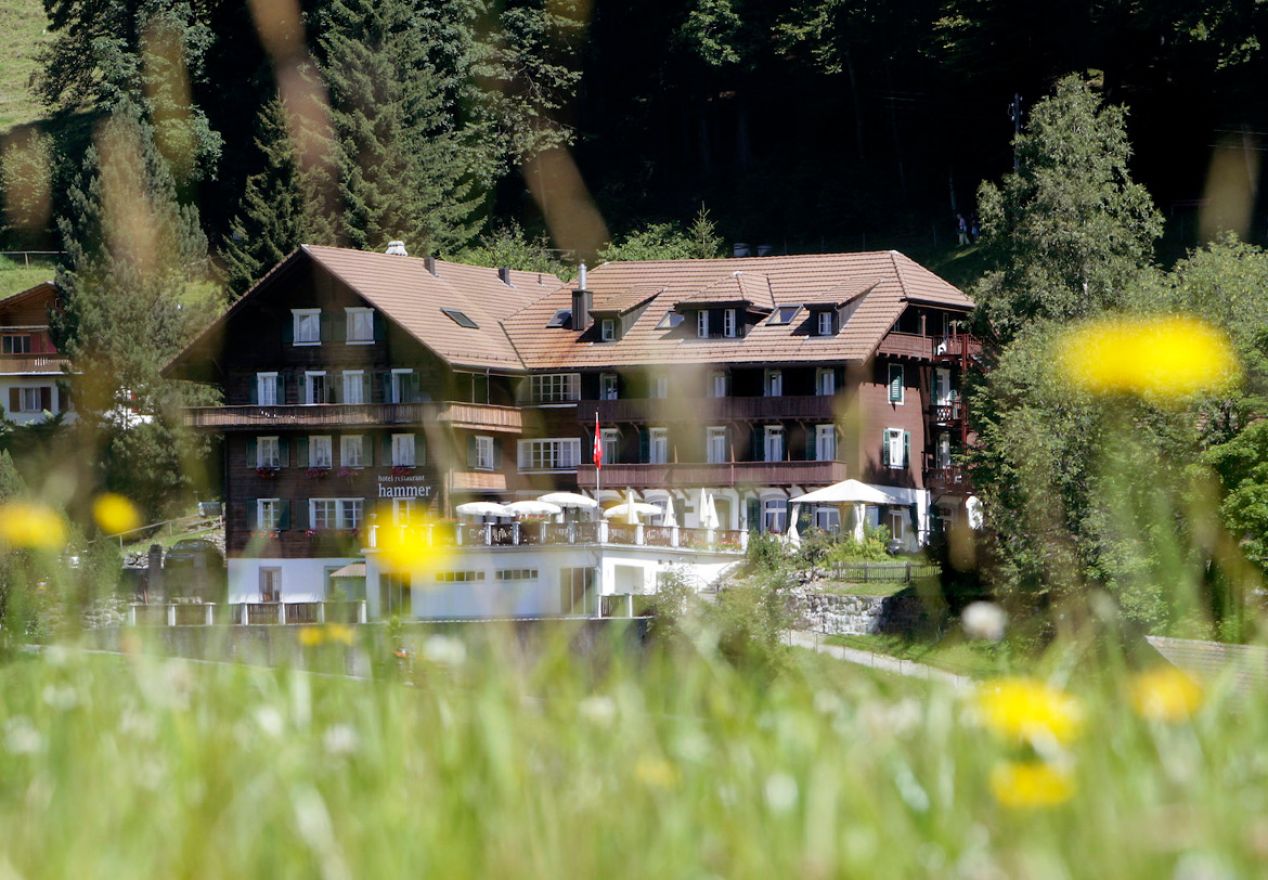 Hotel Restaurant Hammer